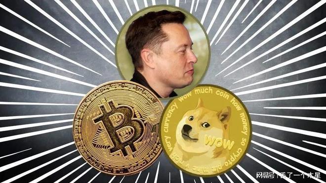 以太坊狗狗币区别 狗狗币以太坊合约地址