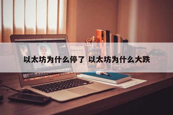 以太坊为什么停了 以太坊为什么大跌