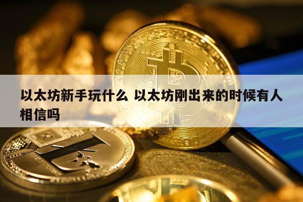 以太坊新手玩什么 以太坊刚出来的时候有人相信吗